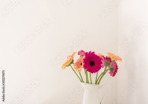 Close up of bright pink and peach gerberas in white jug against wall with copy space