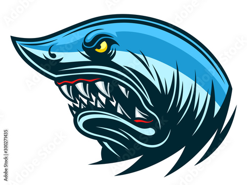 Shark head
