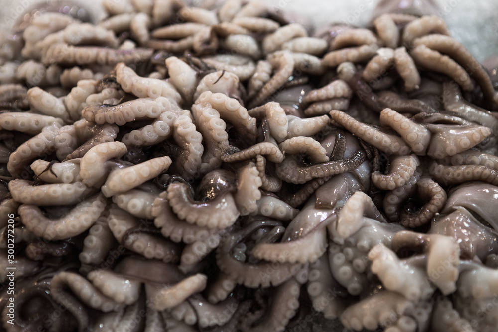Background of raw and fresh squids on ice in local Athens fish market, Greece Background of raw and fresh squids on ice in local Athens fish market, Greece