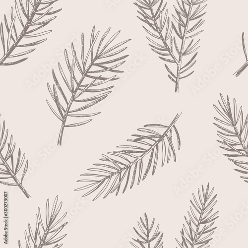 Hand drawn Christmas seamless pattern. Vector background with conifer branches.