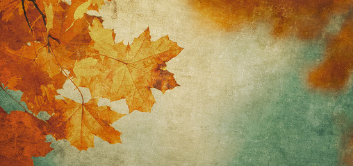 grunge background with autumn leaves