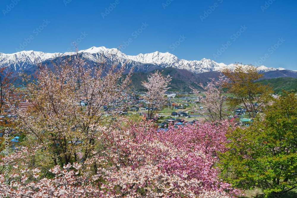 信濃大町より後立山連峰