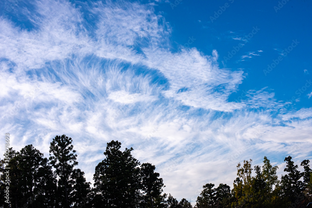 Obraz premium 秋空に雲