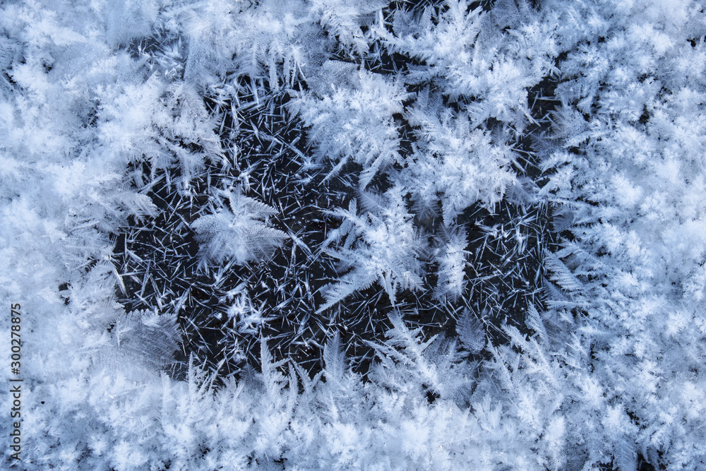 Snow texture. Natural winter background Snow texture. Natural winter background