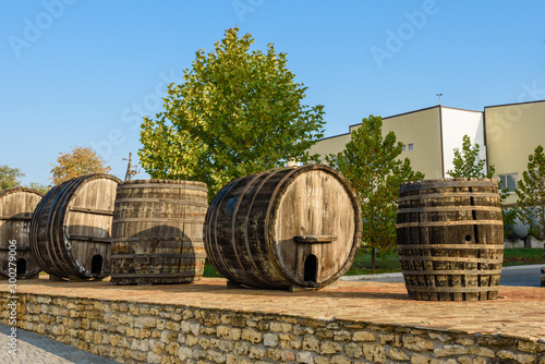 Wine barrels in wine-vaults in order. Wine bottle and barrels