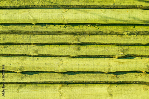 Wallpaper Mural old green wood plank background Torontodigital.ca