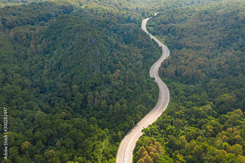 Aerial view of pathway road in forest, view from drone
