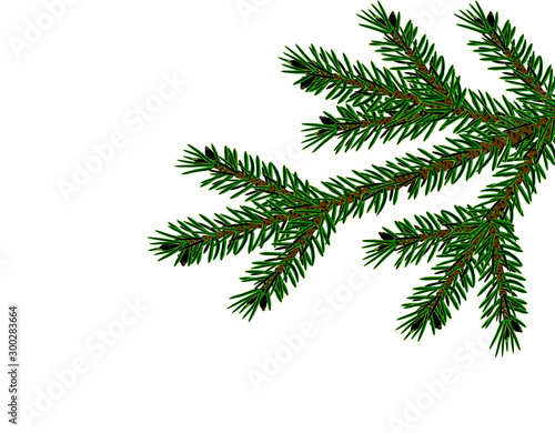 Christmas, New Year. Realistic Christmas tree branch in green closeup. Cards, business cards, invitations. illustration