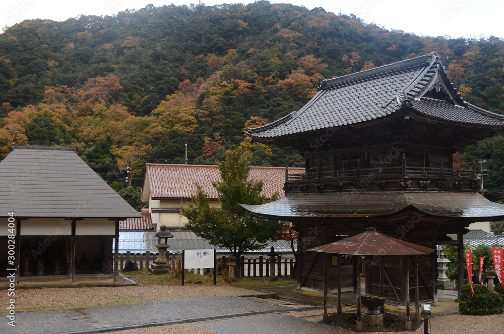 秋色にそまる神社