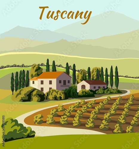 village houses and farmland. color vector illustration
