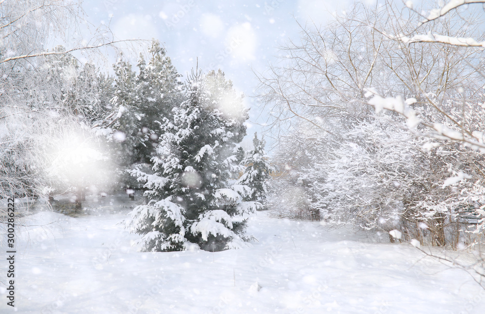 Winter Park. Landscape in snowy weather. January. Winter Park. Landscape in snowy weather. January.