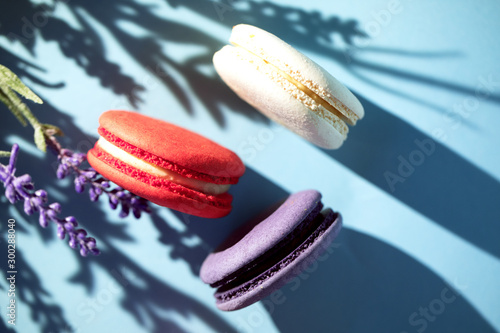 Cakes macaroon or macaron with lavander plant on blue background, close up photo