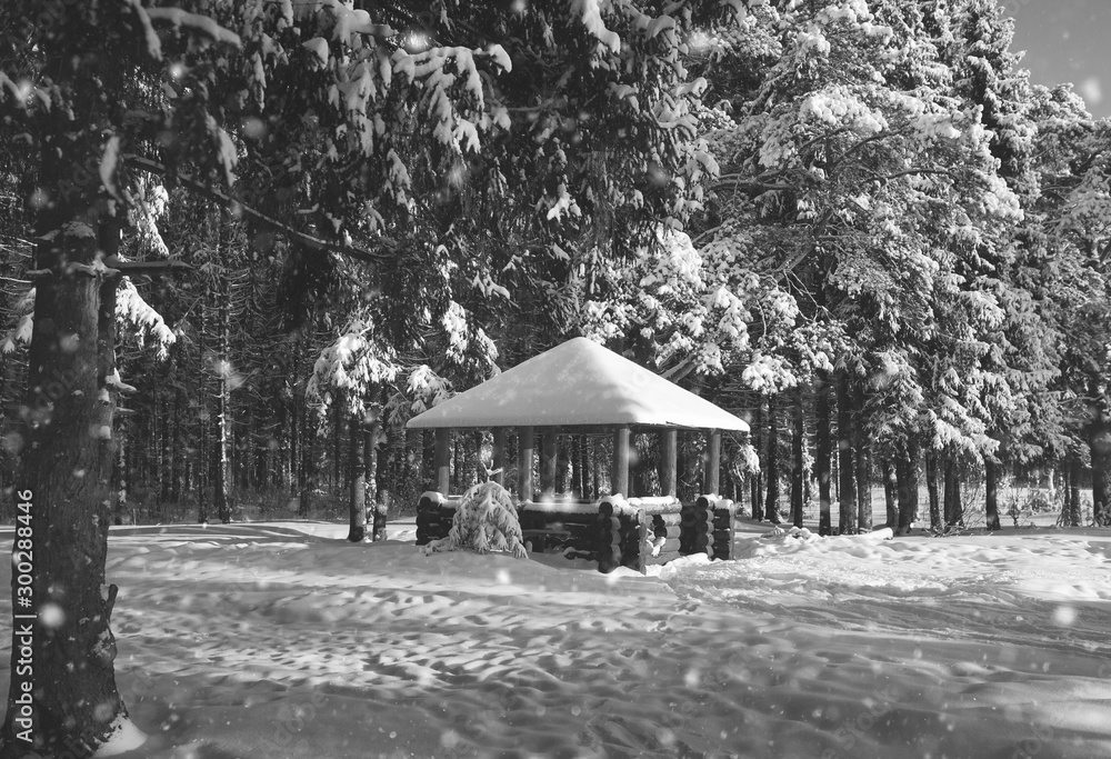 monochrome wooden gazebo in forest in winter sunny day