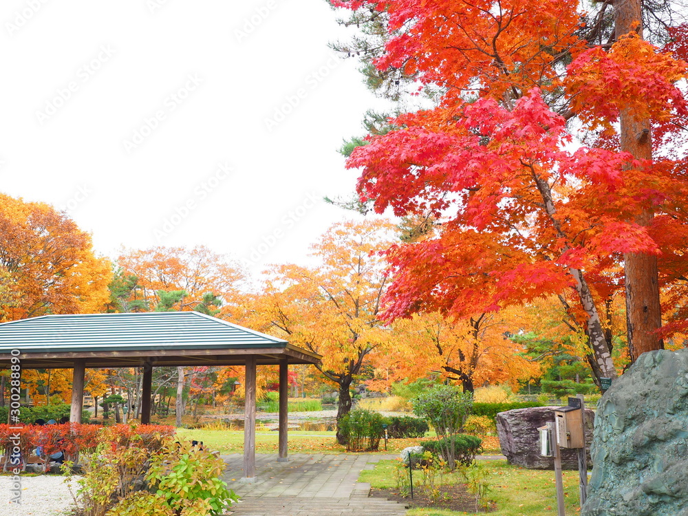 Obraz premium 北海道の秋風景 玉泉館跡地公園