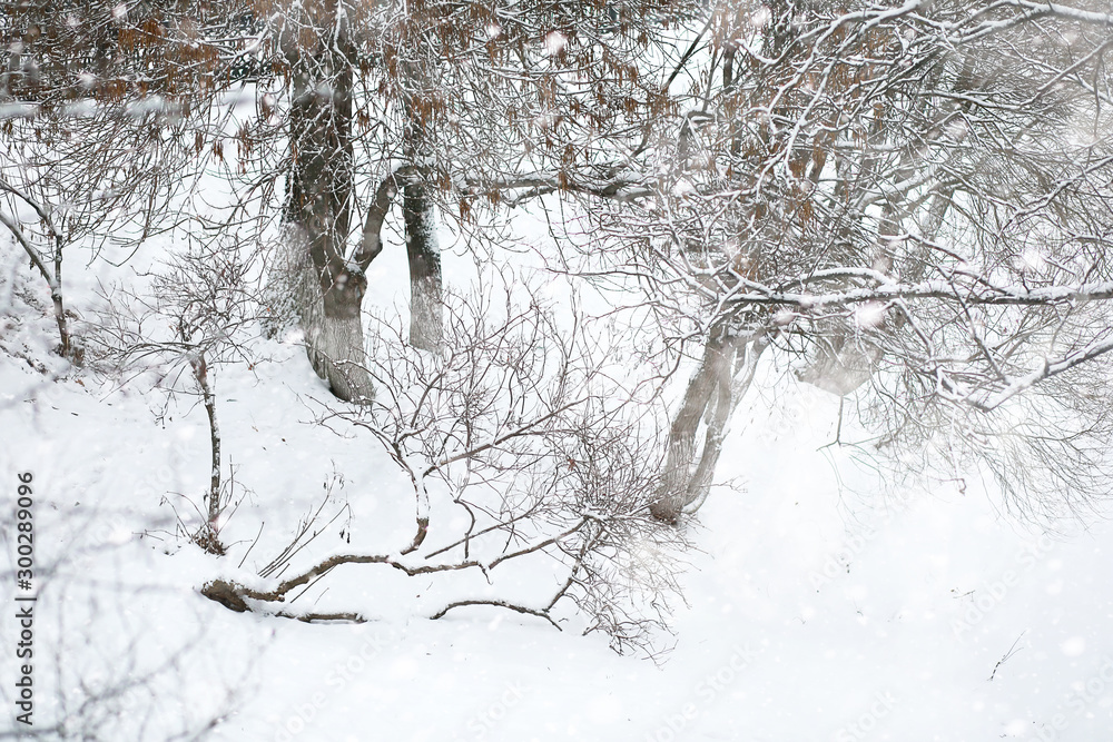 Fototapeta premium Winter landscape of country fields and roads