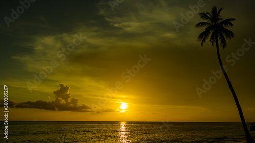 beautiful sunset of the caribbean © dbrus