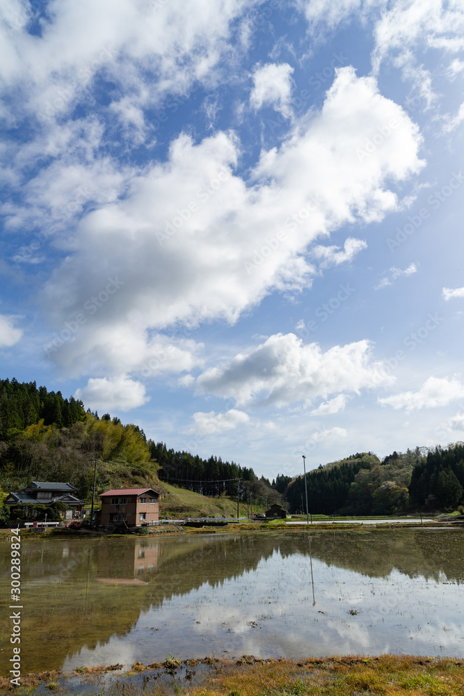 新潟の田園風景 新潟の田園風景