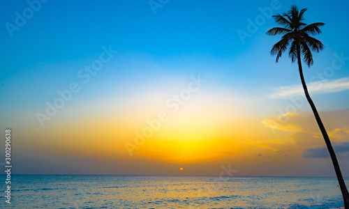 Fototapeta Naklejka Na Ścianę i Meble -  beautiful sunset of the caribbean