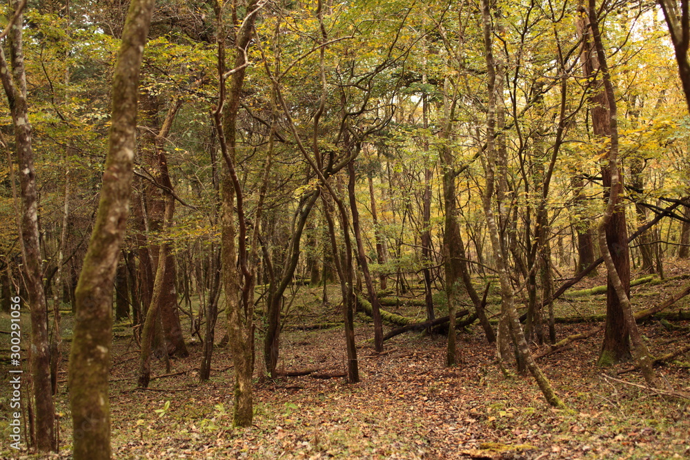 It’s starting to feel like fall It’s starting to feel like fall