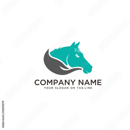 logo design horse care, horse training vector template