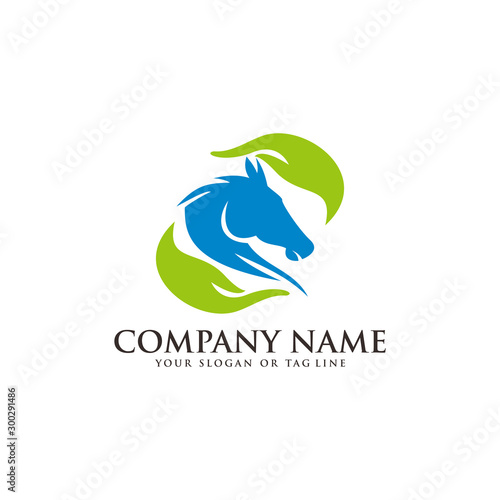 logo design horse care, horse training vector template