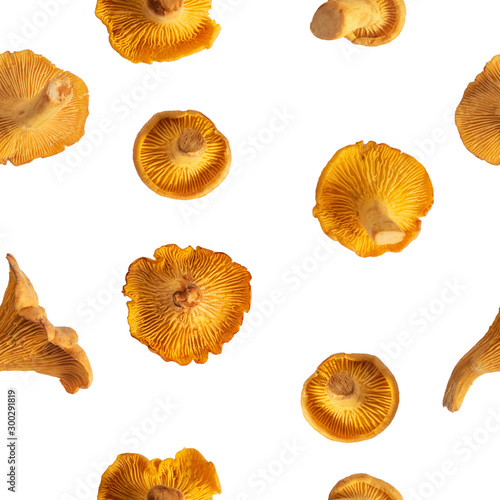 Chanterelle mushrooms seamless pattern. A set of eatable mushrooms texture background tile