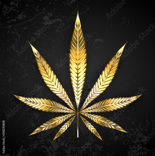 Gold leaf cannabis