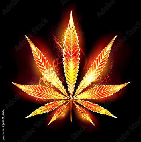 Cannabis fire leaf