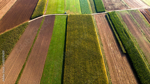 Colorful Countryside Farm Fields. Cultivated Soil with Crops. Aerial Drone View