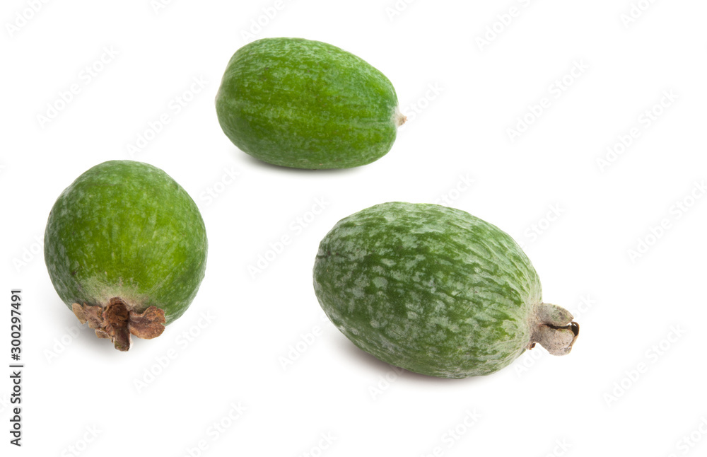 feijoa isolated feijoa isolated