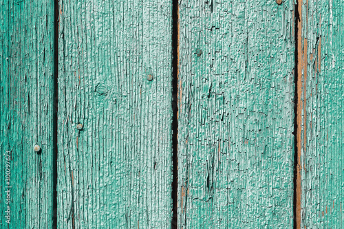 Old and peeling paint Over time, the green paint peeled off from the old boards and the wood texture cracked. Vintage Abstract Grunge Background © yanik88