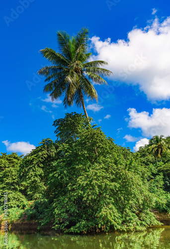 Chevon River Dominican Republic