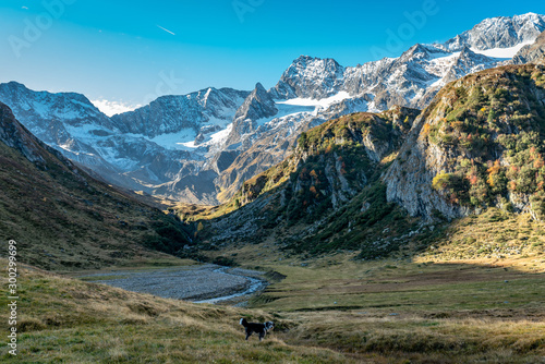 Hiking path at Timmelsjoch and Texelgruppe nature park leading to the Seebersee with the alpine mountains in the background and a dog in the foreground