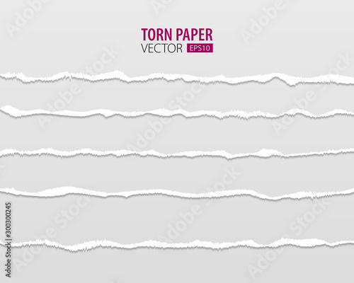 Torn paper edges. Vector torn paper with ripped edges on a transparent background for web and print.