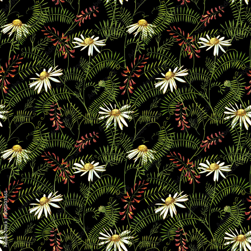 Fototapeta premium Wildflowers medicinal Tufted Vetch watercolor illustrations. Isolated on the white background. Blossom, herbarium plant. Accurate botanical illustration. Seamless patterns.