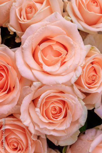 Bouquet of delicate roses . A background of floral roses. Beautiful flowers. A gift for the holiday. Fresh flowers.