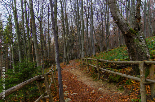 Fototapeta Naklejka Na Ścianę i Meble -  Szlak turystyczny Bieszczady 