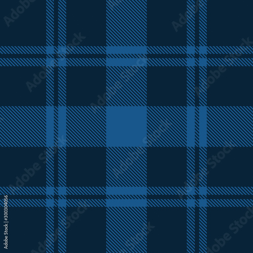 Beautiful classic blue plaid pattern vector photo
