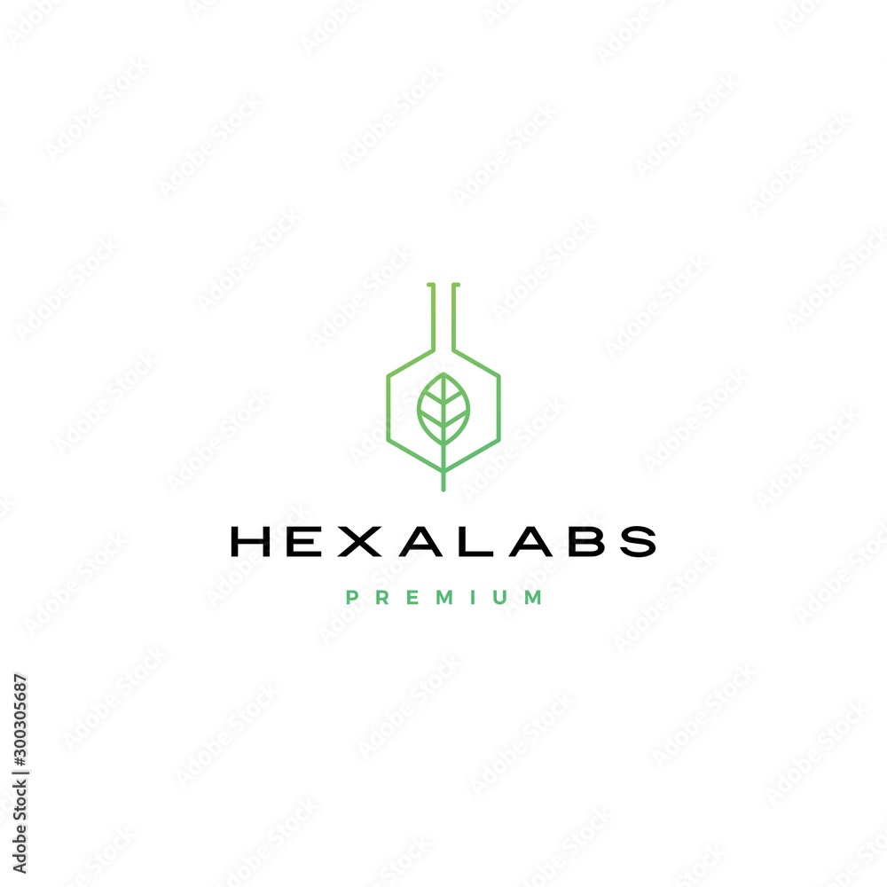 hexagon leaf nature lab hexalabs logo vector icon illustration hexagon leaf nature lab hexalabs logo vector icon illustration