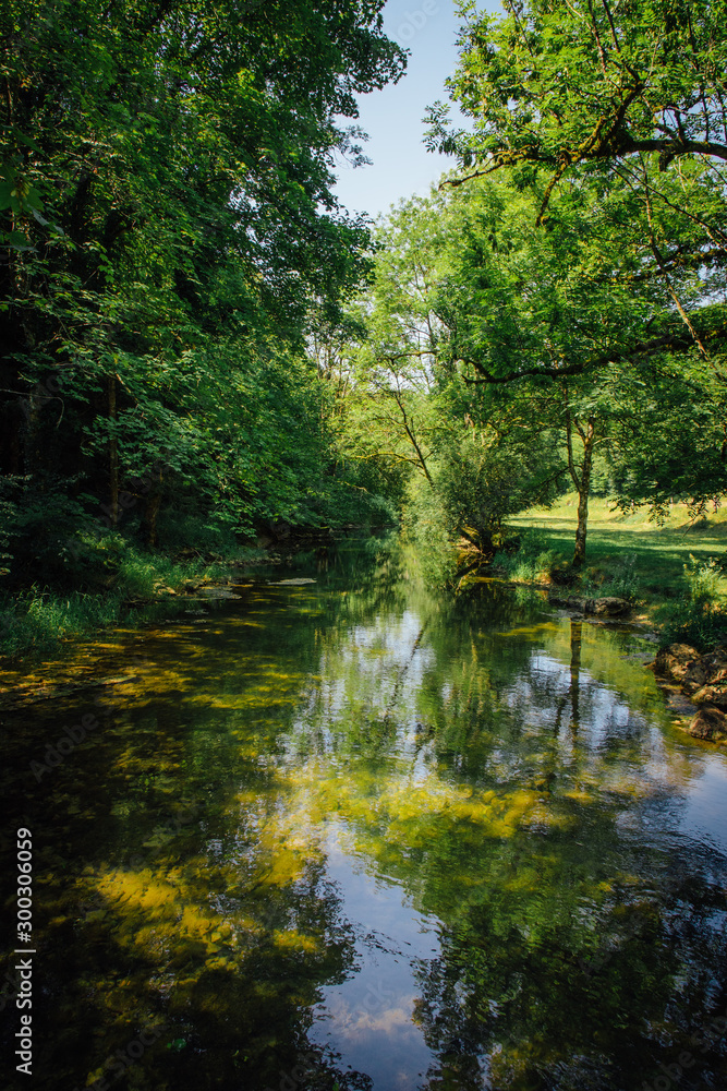 rivière et reflets d'arbres en été dans l'eau