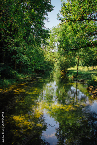 rivière et reflets d'arbres en été dans l'eau © david