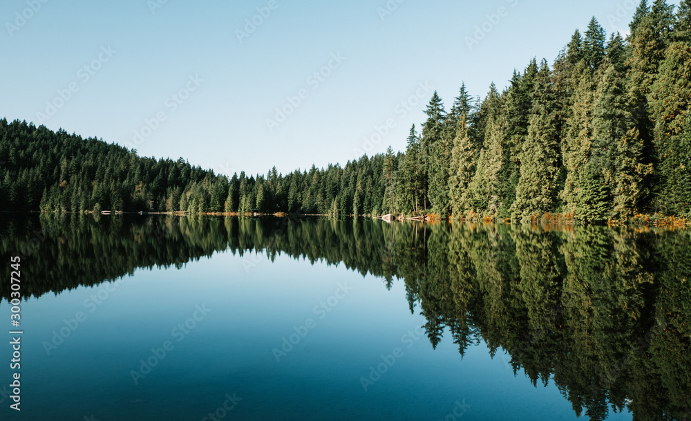 lake in the forest