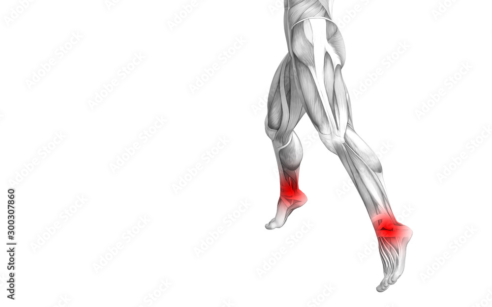 Conceptual ankle human anatomy with red hot spot inflammation or articular joint pain for leg health care therapy or sport muscle concepts. 3D illustration man arthritis or bone osteoporosis disease Conceptual ankle human anatomy with red hot spot inflammation or articular joint pain for leg health care therapy or sport muscle concepts. 3D illustration man arthritis or bone osteoporosis disease