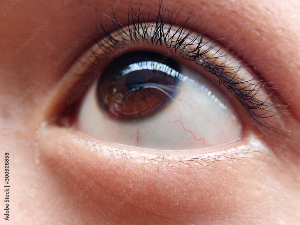 Obraz premium OLYMPUS DIGITAL CAMERA