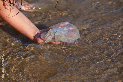 Jellyfish with tentacles photo