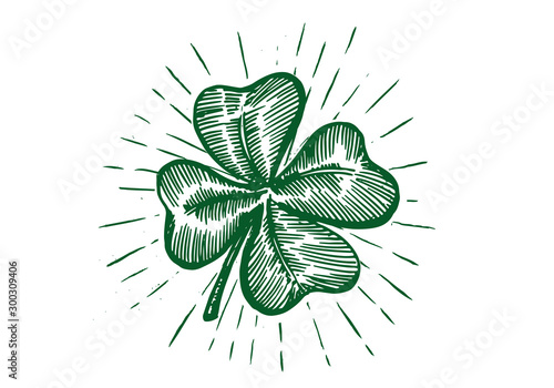 Patrick day. Clover, hand drawn illustration.
