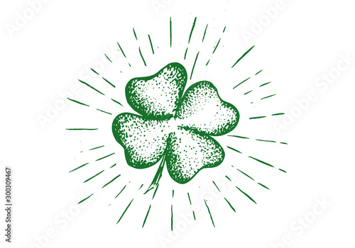 Clover, hand drawn illustration. Patrick day. 