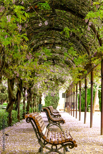 bench in the park