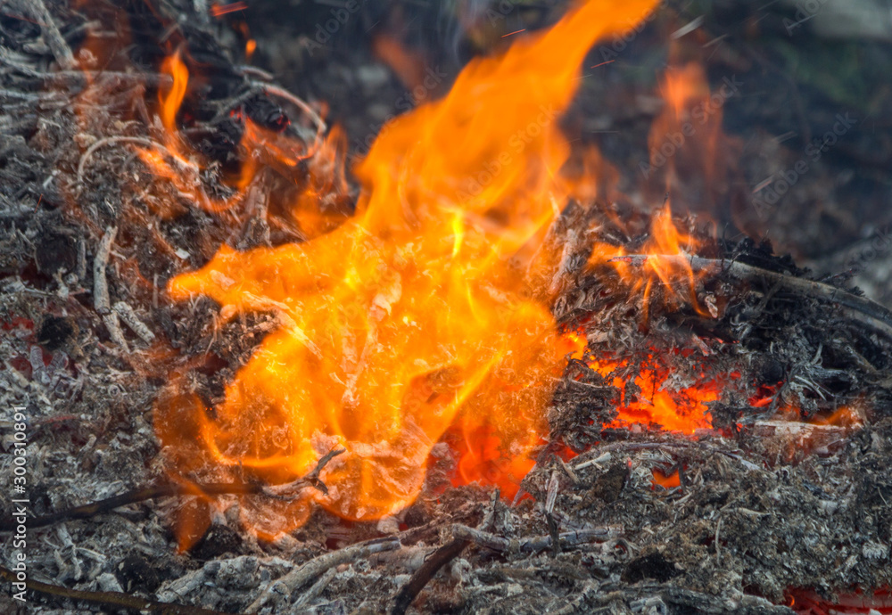 Farmer burns green waste in the concept of bonfire, bonfire outdoors, agriculture. Fallen leaves, branches and household trash burns in an autumn fire Farmer burns green waste in the concept of bonfire, bonfire outdoors, agriculture. Fallen leaves, branches and household trash burns in an autumn fire