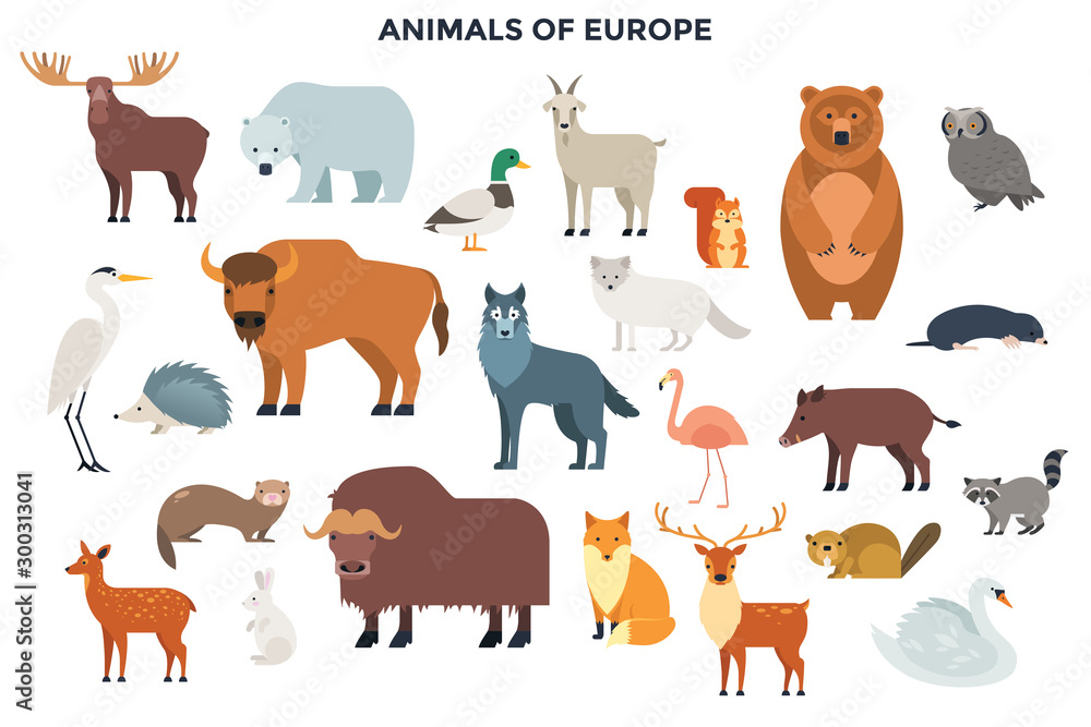 Modern Infographic Template Modern Infographic Template
